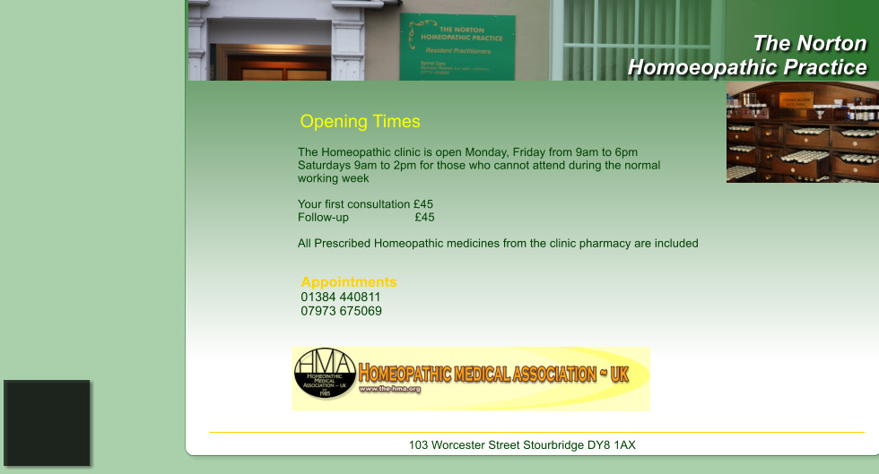 The Norton Homoeopathic Practice